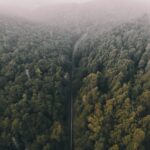 Craft a Visual Time-Based Roadmap for Success